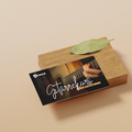 Gutschein Gitarrenkurse